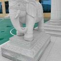 临沧 白麻花岗岩动物异形石雕-大象