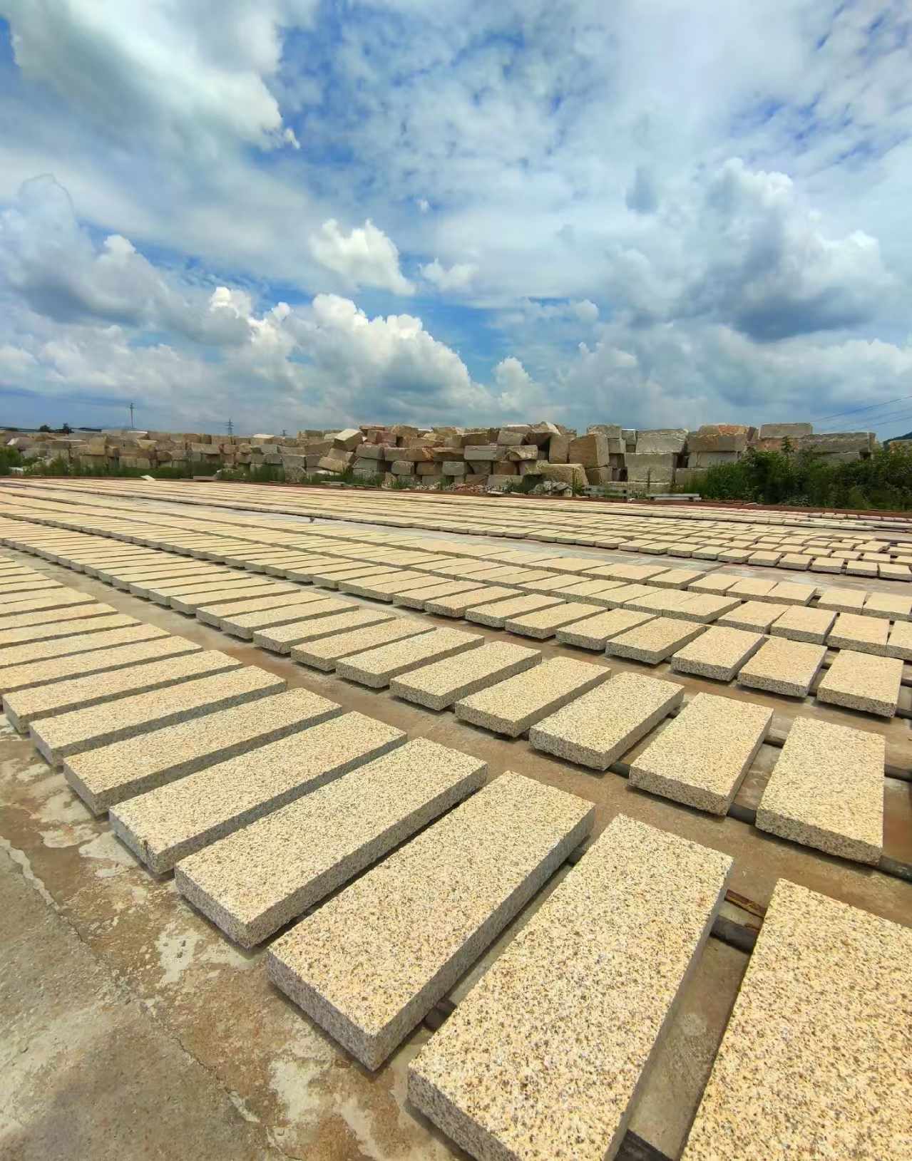 临沧 黄金麻荔枝面花岗岩石材地铺石防护中