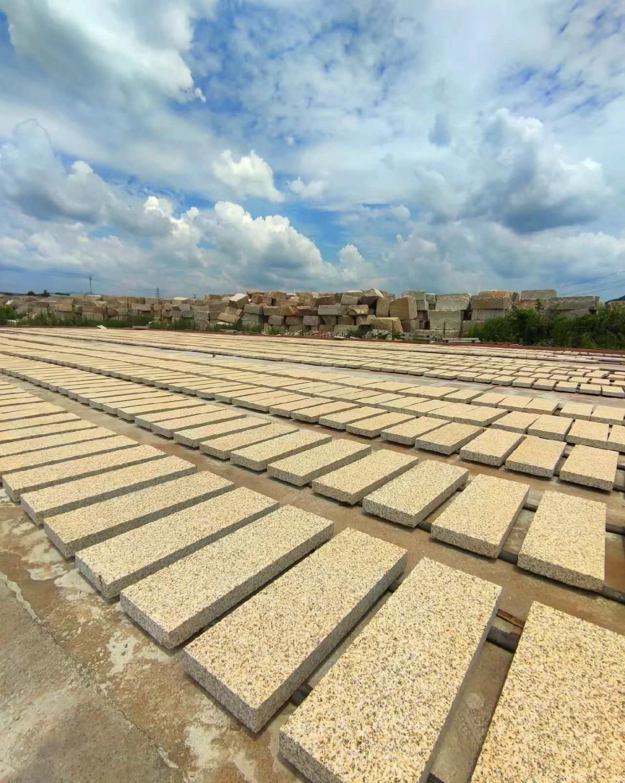 临沧 黄金麻花岗岩荔枝面地铺石防护中