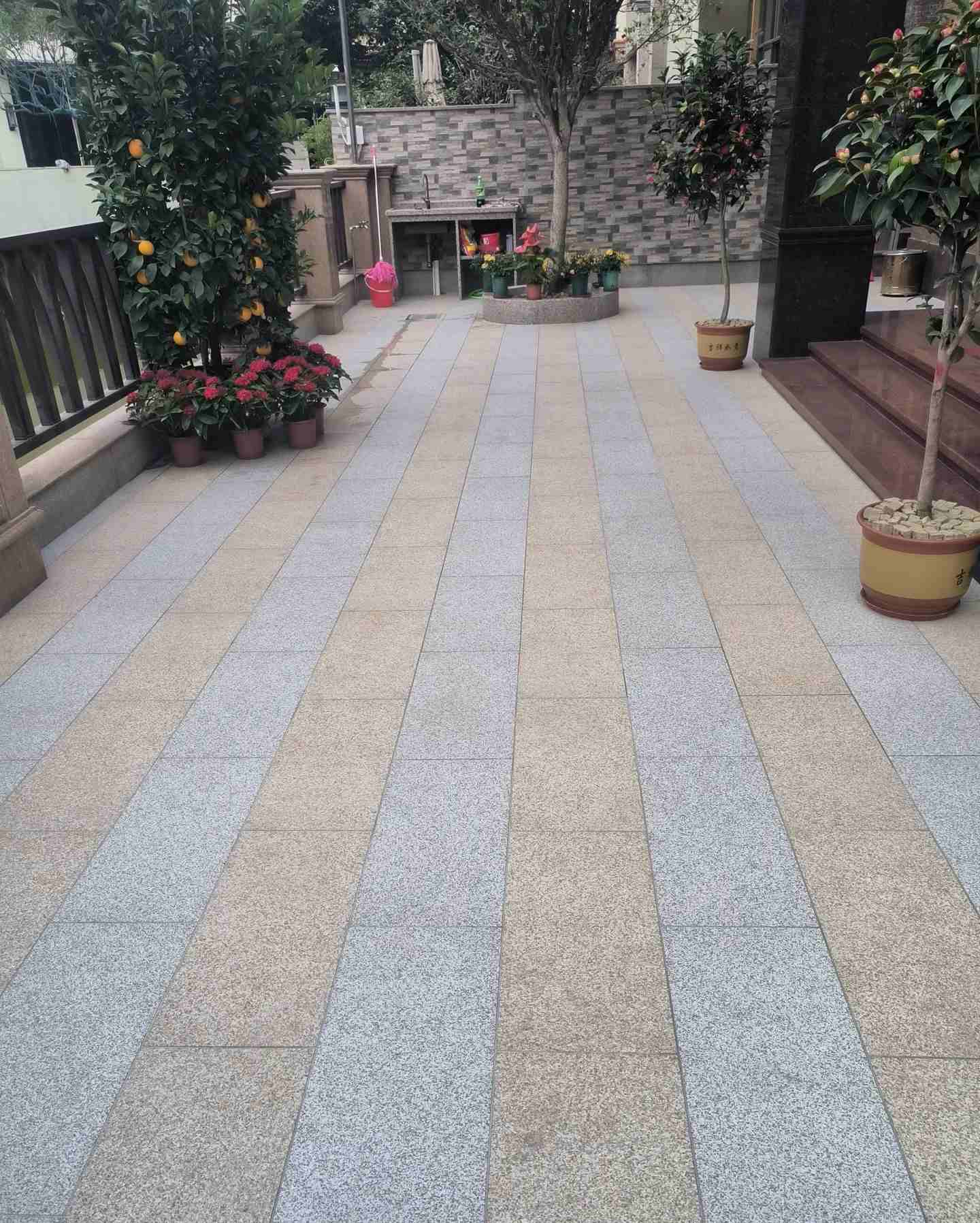 临沧 黄金麻白麻荔枝面庭院铺装展示